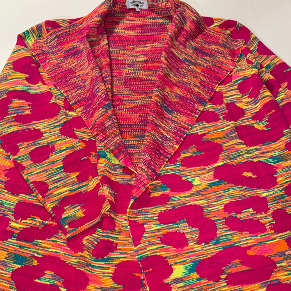 Crazy Train Colorful Leopard Print Knit‎ Sweater size Large